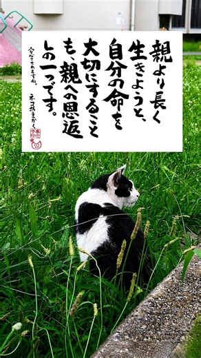親より長く生きよう。自分の命を大切にすることも、親への恩返しの一つです。