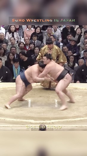 Sumo Wrestling in Japan: A Cultural Journey