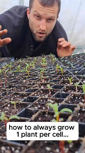 How to Grow One Plant Per Cell — Never Overcrowd Again