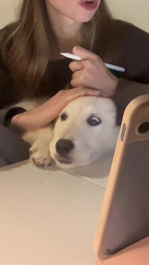 Когда ну очень хочешь внимания.. #репетитор#онлайншкола#математикапрофильегэ#огэматематика