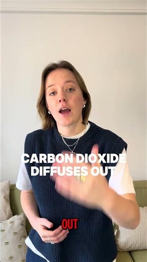 Diffusion in 30 seconds #gcse #gcsescience #gcsebiology #diffusion #studytok