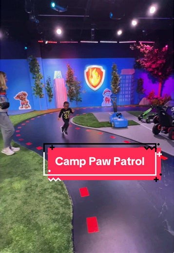 Camp Paw Patrol: Adventures for Kids