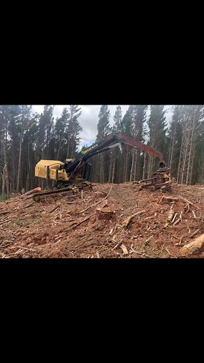 Trying out the tigercar 👌 #forestry #tigercat #855 #selfleveling #logging