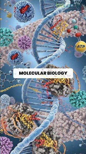 Beyond the Books: Real Skills for Real Impact at BIBT!