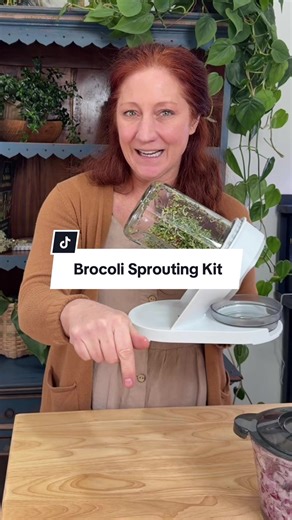 Broccoli Sprouting Kit: Grow Fresh & Healthy at Home