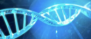 3D animation of DNA. Conceptual design of genetic information for science animation. multicolored DNA molecule. DNA molecules in chromosomes. science, biology DNA genome double helix rotating loop 4k