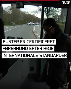 146K views · 2.5K reactions | Buster lystrer 34 kommandoer, men kan have svært ved at koncentrere sig om arbejdet som førerhund, når han bliver klappet af fremmede. 瑩 | TV2 Nord | Facebook