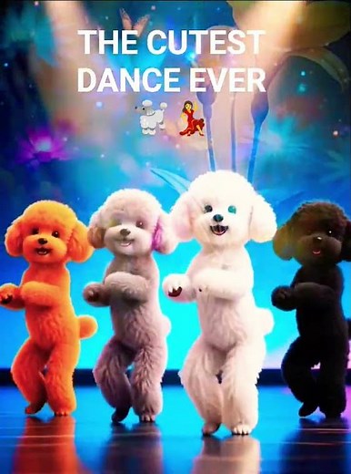 Cutest Dancing Poodles Ever 🐩💖