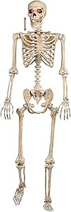 Crazy Bonez Talking Pose-N-Stay Skeleton