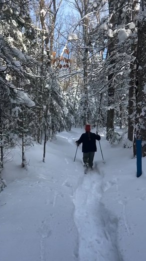 Fresh snow, endless trails, and peaceful winter views- Munising conditions are perfect for snowshoeing! 🥾❄️ Embrace the beauty of winter on our best cross-country ski and snowshoe trails ⬇️ https://bit.ly/40u4yE9 🎥 @jessmtravels | Munising Visitors Bureau