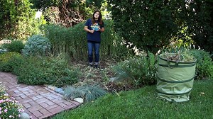 104K views · 2K reactions | Here's what to do when your perennials start to look a bit tired... | Proven Winners | Facebook