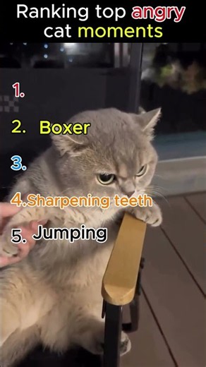 Amazing Animal Facts & Rankings