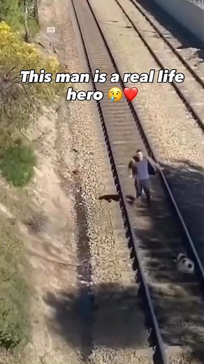 Viewer discretion advised ‼️ How anybody could do this to a dog is completely beyond us and breaks our heart 💔 This man is a complete hero! . #dog #dogtrainer #dogtrainingtips #puppytraining #doglover #dogpack #doghealth #dogpsychology #viral | Cherry Hoggs