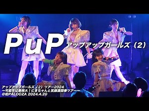 【ライブパフォーマンス】PuP／アップアップガールズ（２）