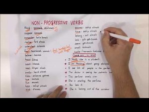 Non-progressive verbs / verbs that do not take -ing