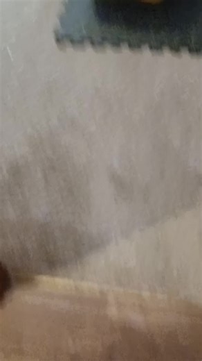 #kerrieelizabeth420 #lego #fyp #autism #legostarwars he ready had vader, trooper, and boba fett mechs