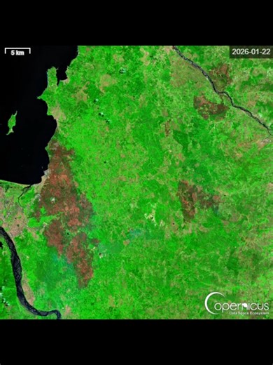 Con una simple combinación de bandas (SWIR) de imágenes satelitales se puede dimensionar el tamaño de los #incendios ocurridos en las regiones de #Ñuble y #Biobio #lirquen #penco