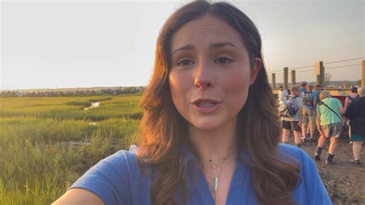 83K views · 760 reactions | Slack tide is expected anytime between now and 9 a.m. and we're excitedly waiting for the flare to start the 100th Annual Pony Swim! You can watch the swim live on Delmarva Sports Network and DSN+ now! | WBOC TV 16 Delmarva's News Leader | Facebook