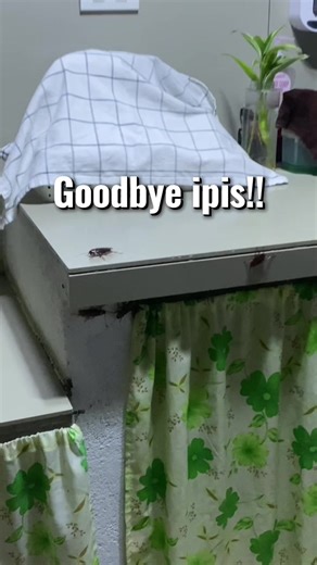 Effective Cockroach Killer Solutions