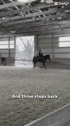 It’s always one step forward, and three steps back ‪@Thehaydiaries626‬