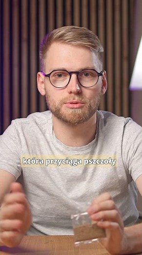 🐾 Czy wiesz jak wiele właściwości ma kocimiętka 🌿
