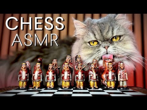 ASMR Chess | Satisfying Piece Sounds & Cat Purring for Sleep, Study & Relaxation