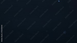 Real snow falling on dark background in 4K slow motion. footage for composing, motion graphics, Large and small snow snowflakes, Isolated falling snow