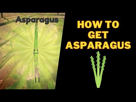 How To Get Asparagus in Secret Staycation | Roblox