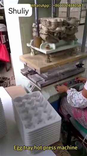 Hot Press Shaping Machine for Egg Tray | Precision Forming in Pulp Molding Line