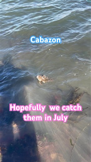 Catching Cabazon In Newport Oregon Jetty Fishing subscribe for Tutorials on jetty Fishing in Oregon