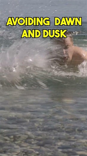 Shark Attacks: First Aid Steps 🦈 #sharkattack #firstaid