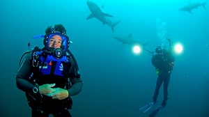 Deadly 60 - Series 2: 8. South Africa