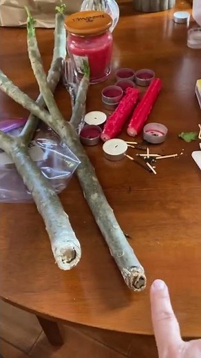 How to root plumeria cuttings