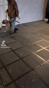 23K views · 234 reactions | Very reactive Mastiff. #mastiff #mastiffs #bigdog #largedog #reactivedog #aggressivedog #powerfulldog #fyp #viral | Big Dog Fellas | Facebook