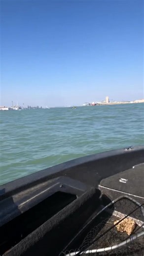 Never know what you will see during the spring walleye run on the Detroit River | St Clair Sportsman
