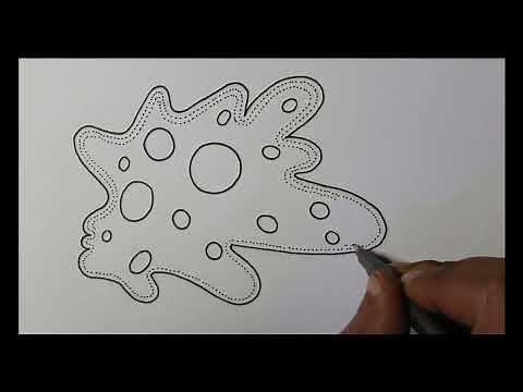 How to draw Amoeba.(draw easy biology)