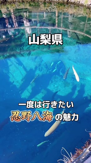 忍野八海の魅力と観光スポット