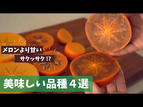[Direct from the producers] 4 delicious persimmon varieties! Super sweet, crunchy, and melt-in-yo...