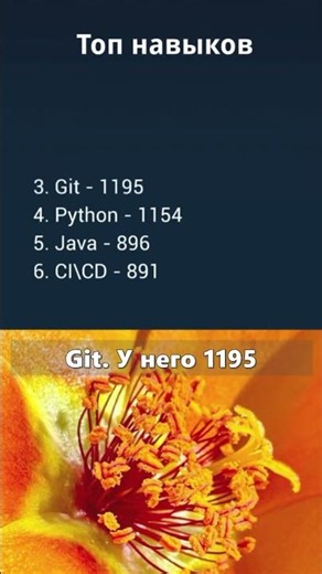 Tester Skills. Top Skills. March 2026.