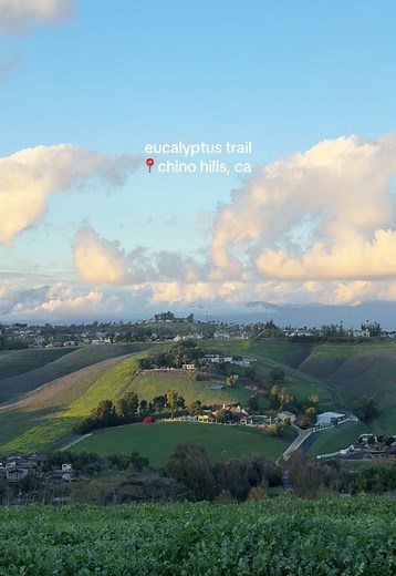 Experience the Eucalyptus Trail in Chino Hills