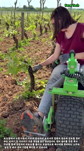 포도밭 가지치기 및 관리 작업 차량 #worker #process #vineyard #agriculture #farming