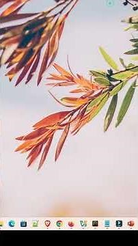 Multiple Ways to Change Wallpaper in Windows 11 PC or Laptop