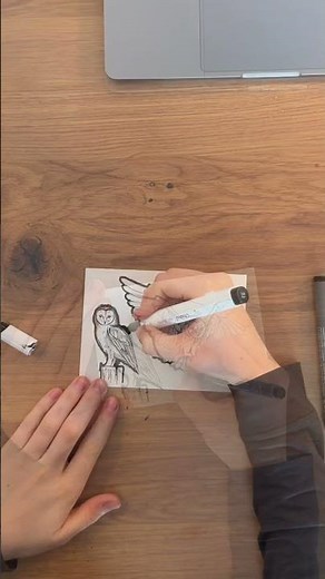 Eine Eule mit Finelinern und Markern malen ✍️ 🦉 #inktober #zeichnen