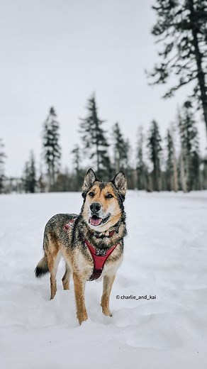 6 comments | Here comes the sun, and so does the fun! These two...