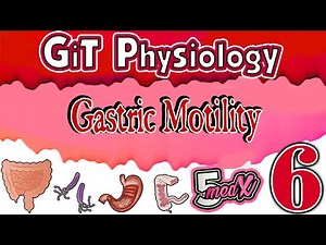 GIT physiology Lecture 6 : gastric motility