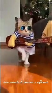 19K views · 701 reactions | Desfile na passarela  TOP Model  | Displey | Facebook