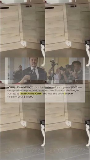 Laughing Out Loud With Hilarious Derpy Cat Moments – Synth Groove #14 566s