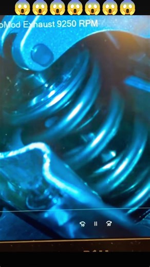 minkia se vibra lo stelo...