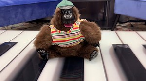 4.9K views · 83 reactions | It's Audience Participation Time! We are introducing Studio 21 at Tech 21 for 2021: a new space for all kinds of informative cool stuff --and some shenanigans, of course. We want to know what you'd like to see us do and topics you want us to cover. | Tech 21 NYC | Facebook