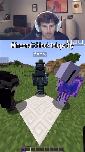 Daquavis on Instagram: "Minecraft block telepathy"